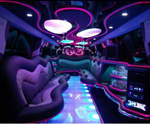 party bus